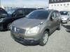 NISSAN DUALIS