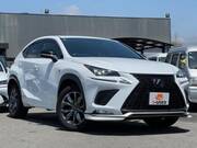 2020 LEXUS NX