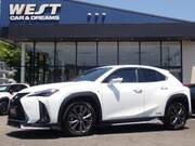 2019 LEXUS UX