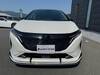 NISSAN OTHER