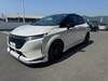 NISSAN OTHER