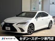 2019 LEXUS ES