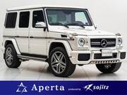 2017 MERCEDES BENZ G-CLASS (Left Hand Drive)