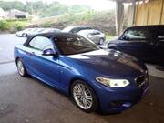 2017 BMW 2 SERIES