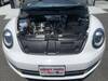 VOLKSWAGEN THE BEETLE