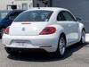 VOLKSWAGEN THE BEETLE