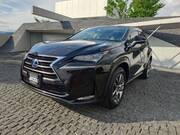 2015 LEXUS NX