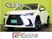 1994 LEXUS NX