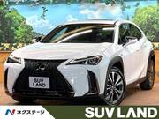 2018 LEXUS UX