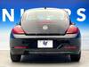 VOLKSWAGEN THE BEETLE