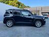CHRYSLER JEEP RENEGADE