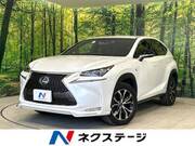 2015 LEXUS NX