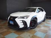 2020 LEXUS UX