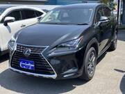 2019 LEXUS NX