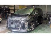 2019 TOYOTA ALPHARD S CPACKAGE