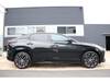 LEXUS OTHER