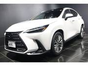 2024 LEXUS NX