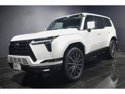 2025 LEXUS OTHER