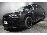 2025 LEXUS NX