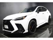 2025 LEXUS NX