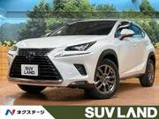 2017 LEXUS NX
