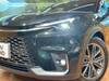 LEXUS OTHER
