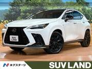 2025 LEXUS NX