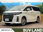 2020 TOYOTA ALPHARD HYBRID