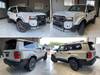 TOYOTA LANDCRUISER 250