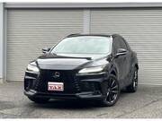 2025 LEXUS RX