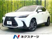 2025 LEXUS NX