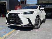 2024 LEXUS NX