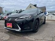 2020 LEXUS UX