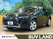 2021 LEXUS UX