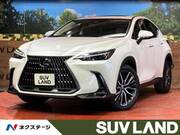 2023 LEXUS NX