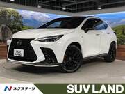2023 LEXUS NX