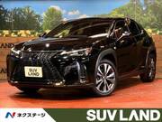 2019 LEXUS UX