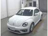 VOLKSWAGEN THE BEETLE