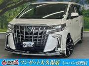 2019 TOYOTA ALPHARD HYBRID