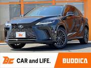 2024 LEXUS RX