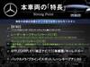 MERCEDES BENZ OTHER