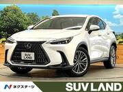 2022 LEXUS NX