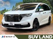 2021 HONDA OTHER