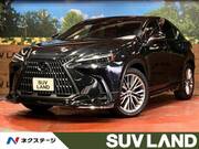 2022 LEXUS NX