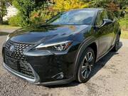 2020 LEXUS UX