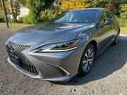 2019 LEXUS ES