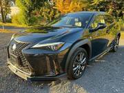2019 LEXUS UX