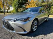 2019 LEXUS ES