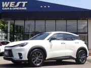 2024 LEXUS OTHER