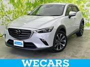 2019 MAZDA CX-3